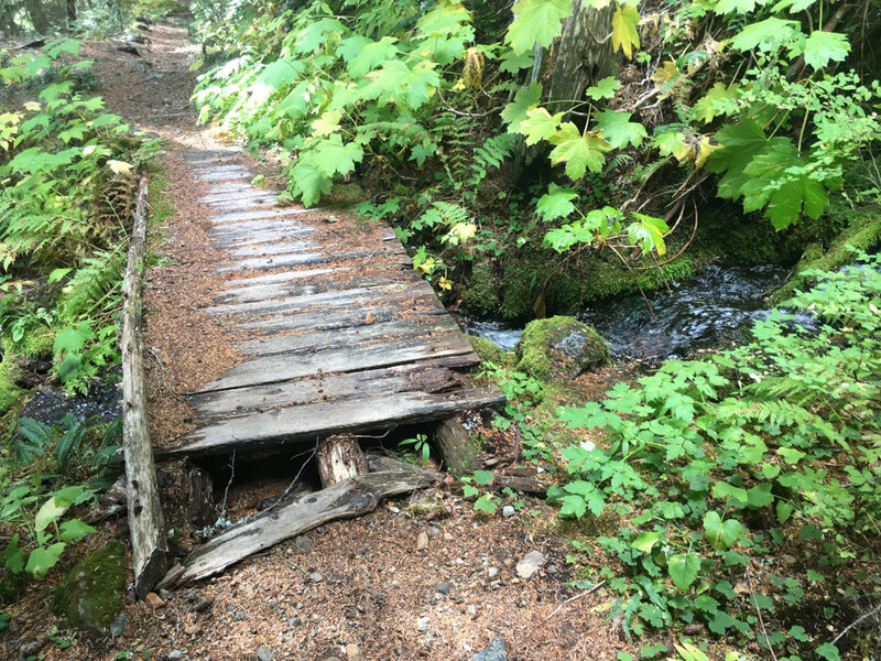 Another bridge, I wonder what lives inside?