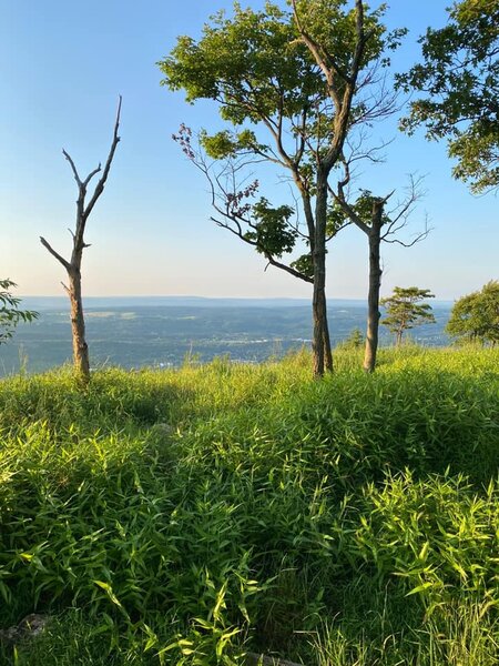 View from rerouted A.T., formerly North Trail.