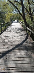 Boardwalk trail.