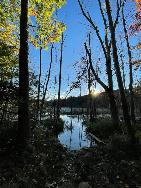 Silent waters - Canoe Launch