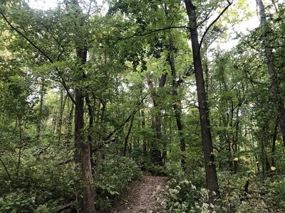 Entrance to Oak Hickory Trail.