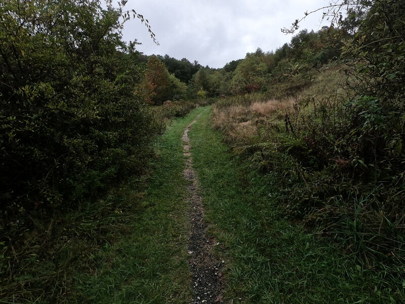 Entrance to the trail from State Road 612.