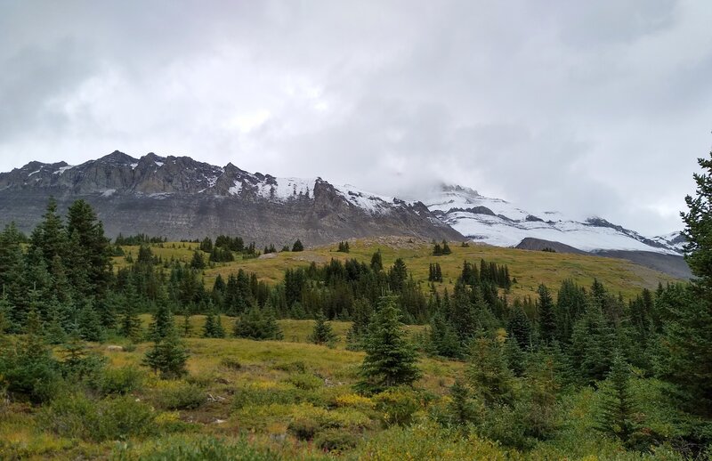 Although its summit is in the clouds, Nigel Peak, 10,534 ft., can be seen to the northeast from Wilcox Pass Trail.