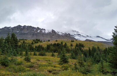 Although its summit is in the clouds, Nigel Peak, 10,534 ft., can be seen to the northeast from Wilcox Pass Trail.