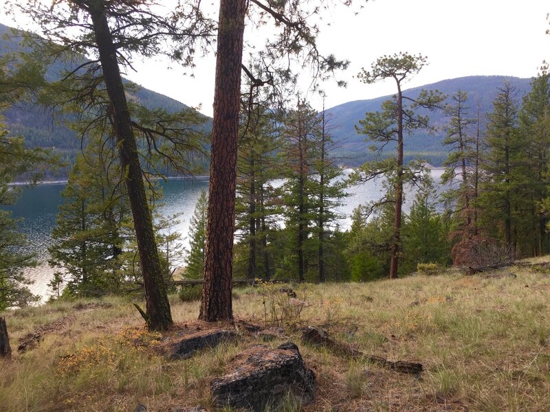 The highest reaches of the trail, just below Hwy 37, offer the best views of Lake Koocanusa.