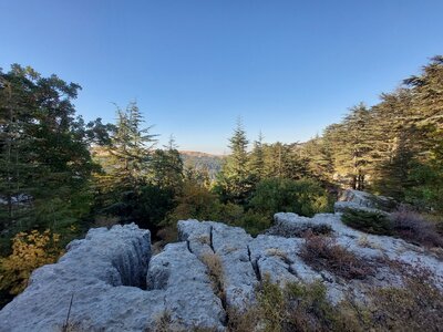 Looking North.