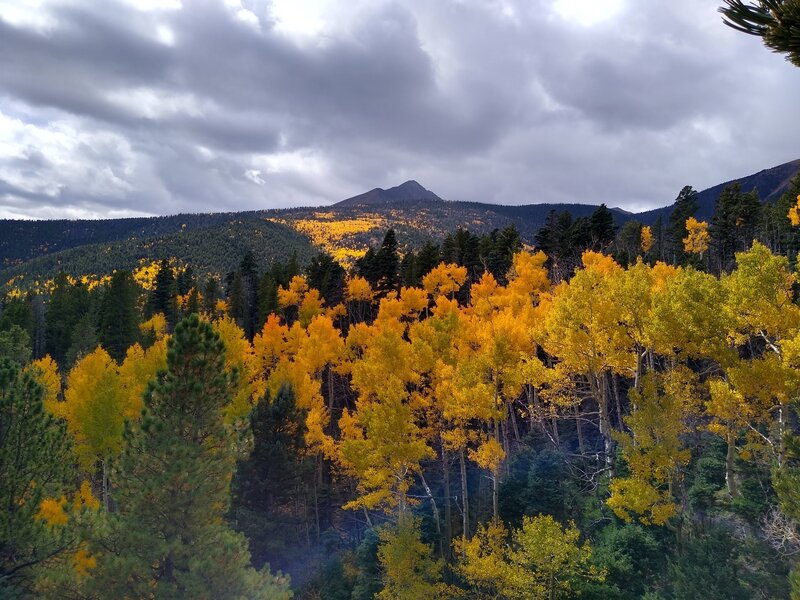 Fall Splendor - Venable Trail