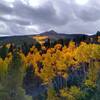 Fall Splendor - Venable Trail