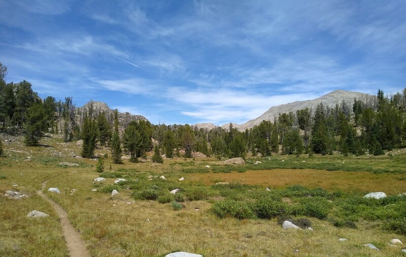 Heading north through the meadows to Victor Lake on Victor Lake Trail, Mount Victor, 12,254 ft., appears to the northeast (right).