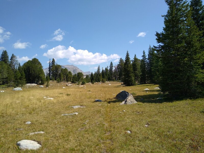 Look for the faint Valley Lake Trail in the grass, when turning off the CDT to hike this unsigned trail.