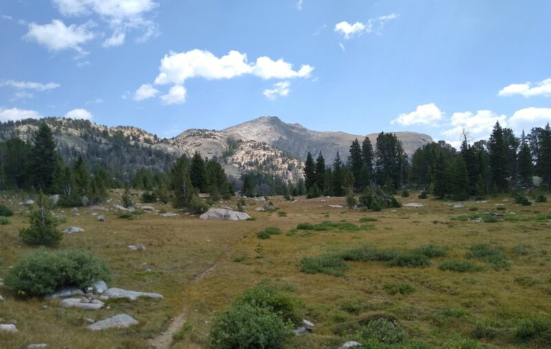 Medina Mountain, 11,541 ft. (center), looms in the distance. The tiny cairn in the lower left corner marks the start of Europe Canyon Trail.  Seen looking west on Valley Lake Trail.