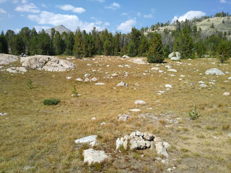 Lower center is the bigger cairn that marks the start of Europe Canyon Alternate Trail Start. Head straight up the center to pick up more obvious trail in the trees.