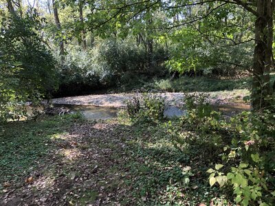 View of Little Beaver Creek from Creekside Reserve Loop.
