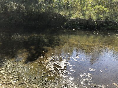 View of the Beach at Creekside Reserve.