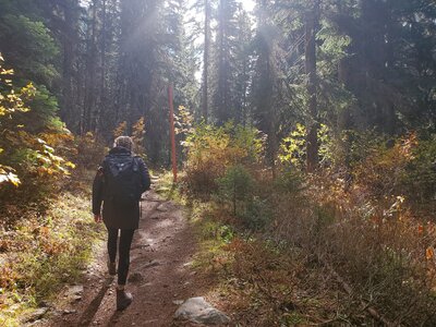 Hiking on the trail.