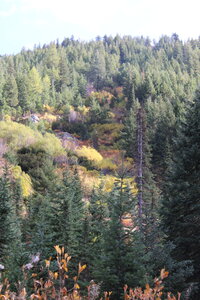 One of many openings along the trail.