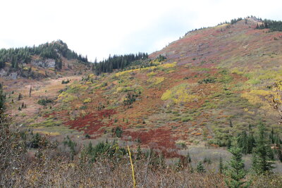 Beautiful mountainside views.