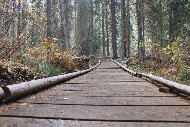 One of many boardwalks along the trail.
