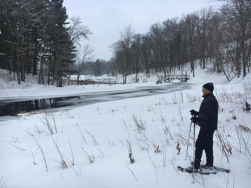 Near Heron Point, on the Vole Trail at Hunt Hill. The footbridge gives year 'round access to the Bear Trail, on the other side of the creek flowing from Twin Lake. All in Hunt Hill's nature sactuary.