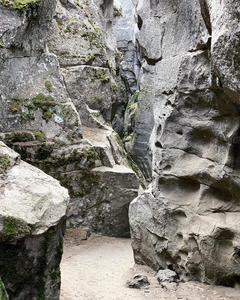 View from inside the crack in the ground.