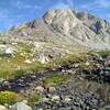 In the high alpine meadows amid the mountains, one finds hardy, bright yellow and purple wildflowers on the banks of the creek connecting Lake 10542 and Lake 10741, the second and third lakes on the way to Europe Pass.