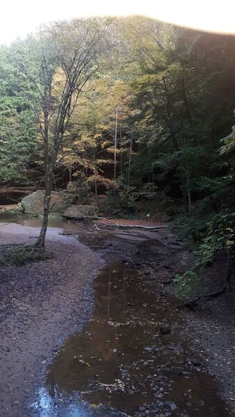 Gorge Trail (Grandma Gatewood Section of the Buckeye Trail). Old Man's Cave State Park.