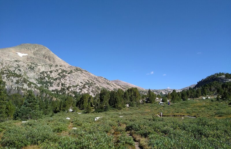 Tromping north through the willows on Hay Pass Trail, Round Top Mountain, 12,048 ft. is seen nearby to the northwest.