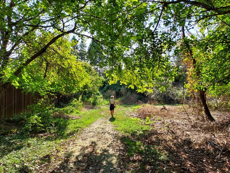 On the Perimeter Loop Trail.