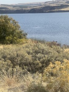 Columbia Plateau Trail