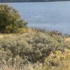 Columbia Plateau Trail