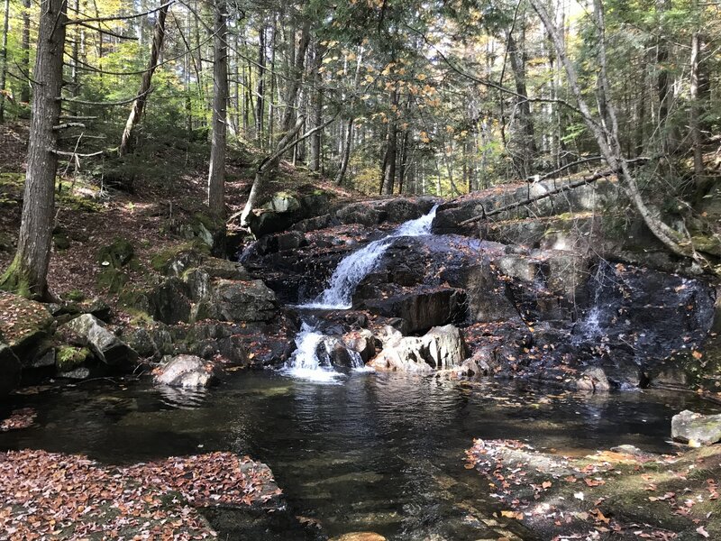 Buzzell Brook Falls