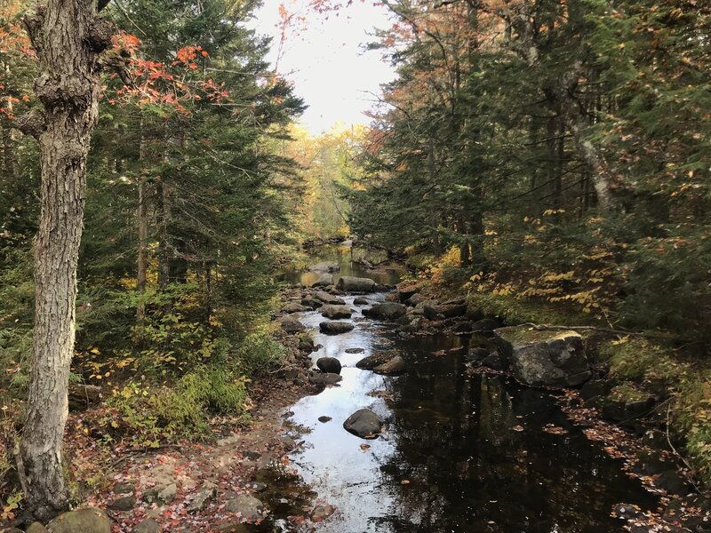 Brown Brook during the fall.