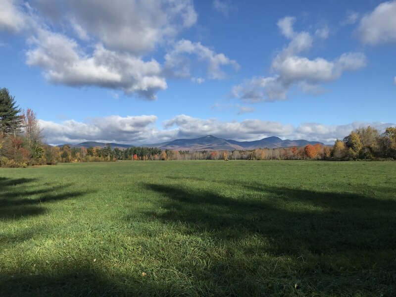 The mountains beyond the field.