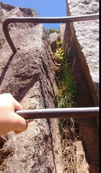 Rebar Climbing Ladders up the side of the Beehive!