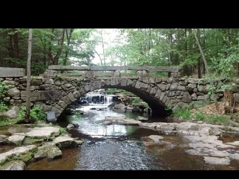 Bridge over creek in the Vaughan Woods.