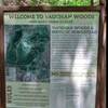 TrailHead Sign