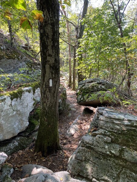 Appalachian trail ( Duncannon Pa).