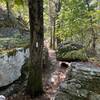 Appalachian trail ( Duncannon Pa).