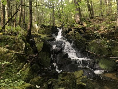 Secret Falls... not a secret, now.