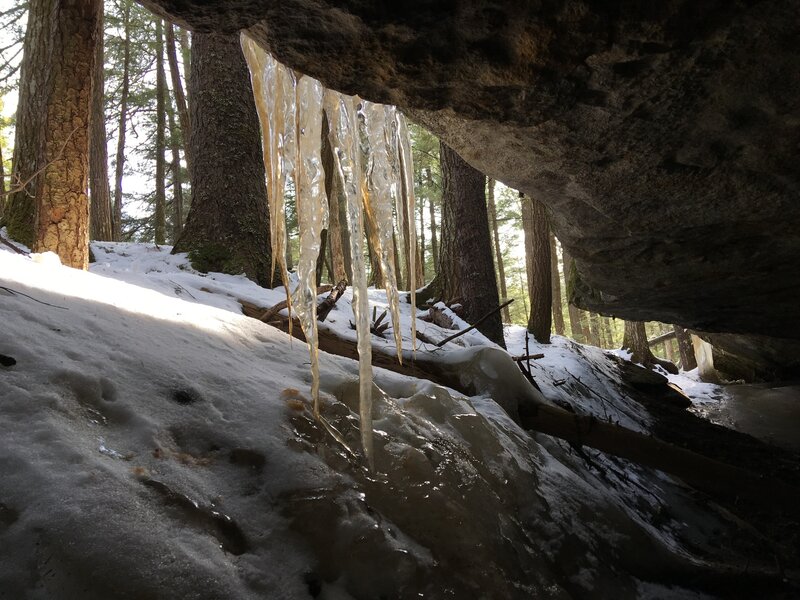 Cow's view from the Cow Cave.