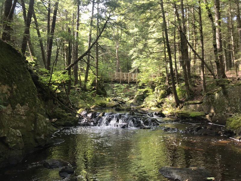 Footbridge over the Bearcamp River.