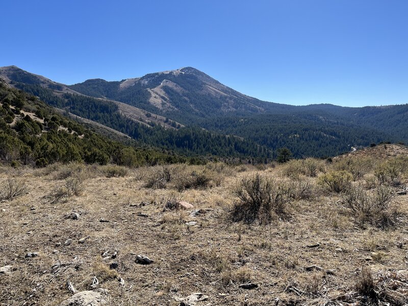 View of Scout Mountain from the Lead Draw/Crestline Connector Trail