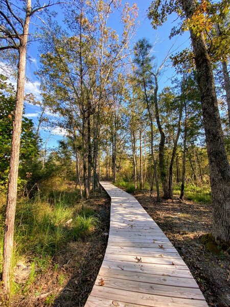 Boardwalks are mixed in through the wetlands.