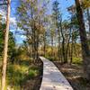 Boardwalks are mixed in through the wetlands.