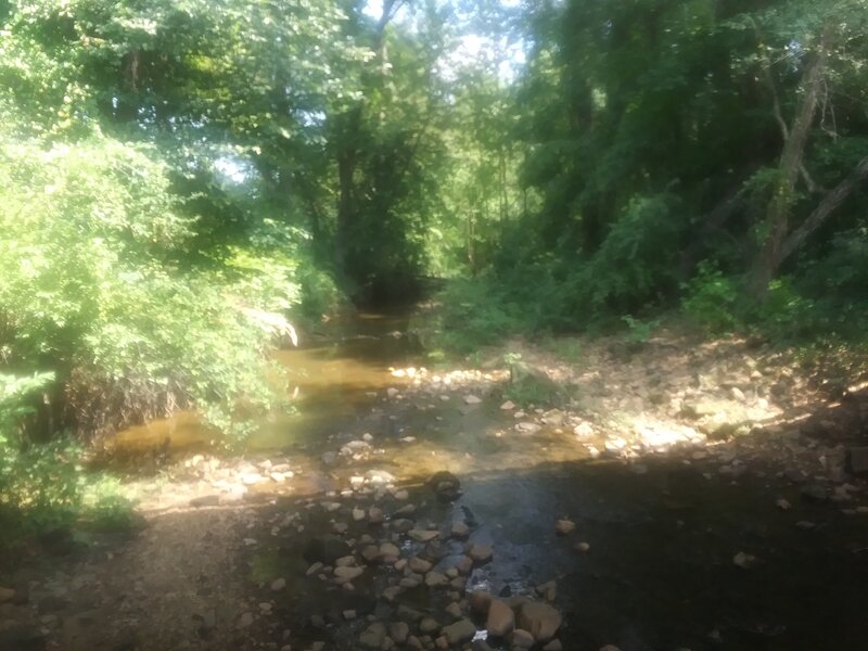 Looking Downstream