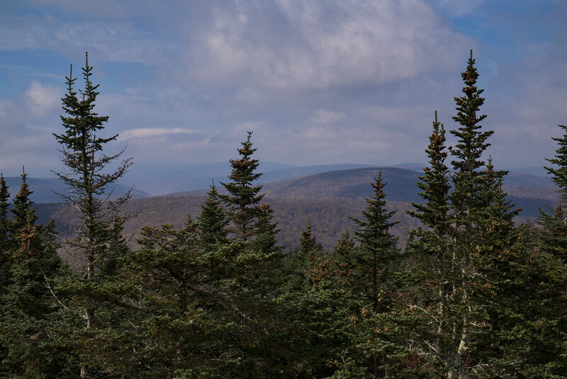 Foggy autumn view from halfway up the Balsam Lake Mountain Fire Tower