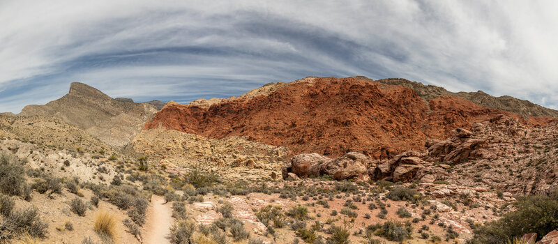 Turtlehead Peak and red rock from Kraft Mountain Loop,