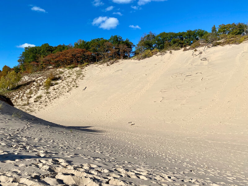 Dune blowout. So much sand!