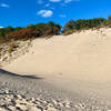 Dune blowout. So much sand!