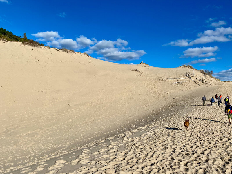 Walking through the dune blowout. Amazing views.